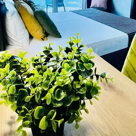 Agata Boutique -adult Only 3*